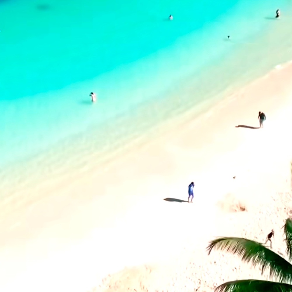 Meet your Posher, Alessia